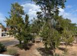 Reventa - Independiente / Villa -
Guardamar del Segura - El Raso
