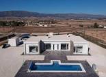 Obra nueva - Villa -
Pinoso - Camino Del Prado