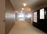 Nouvelle construction - Appartement -
Torrevieja