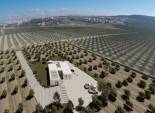 New Build - Detached House / Villa -
Algorfa