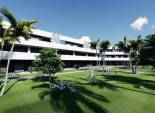 Obra nueva - Apartamento -
Guardamar del Segura - El Raso